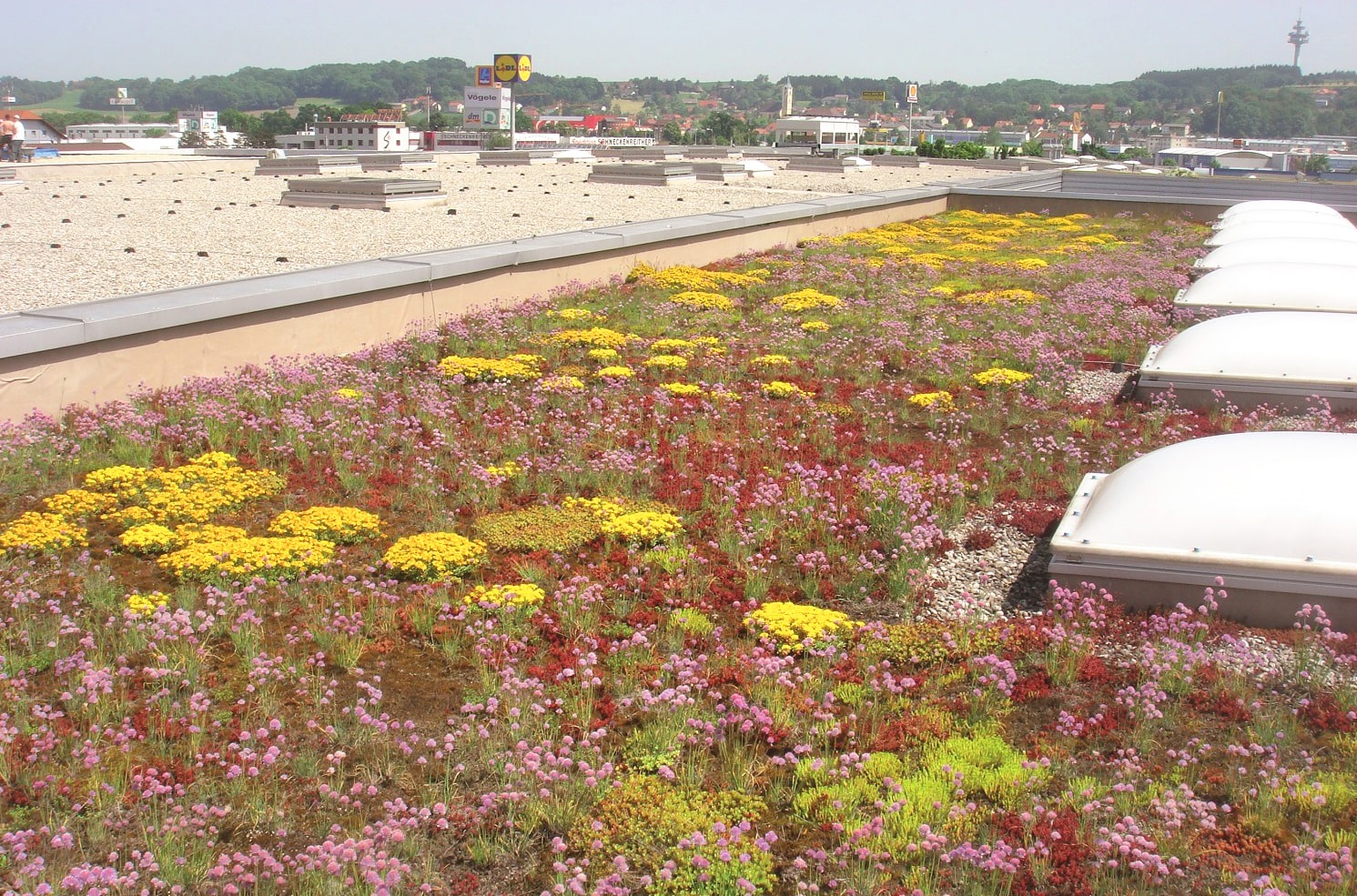 Green roof